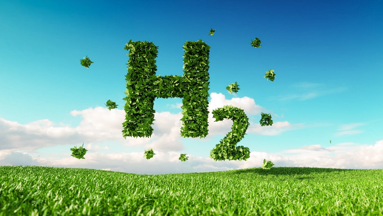 A Molecular Switch for Green Hydrogen: Catalyst Changes Function Based on How It's Assembled