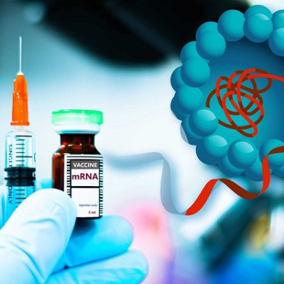 Particles that Enhance mRNA Delivery Could Reduce Vaccine Dosage and Costs