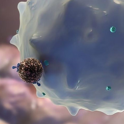 Using A Patient’s Immune Cells to Prevent the Spread of Cancer