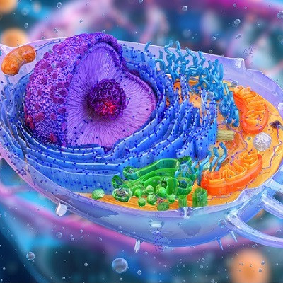 New Nanotube Membrane Platform Allows Precise Cytoplasmic Exchange without Damaging Cells