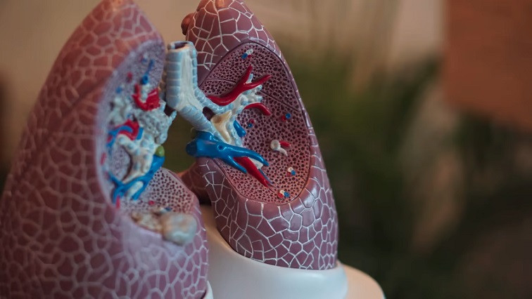 Genprex Pairs Gene Therapy Delivery Tech with Keytruda in Lung Cancer Trial
