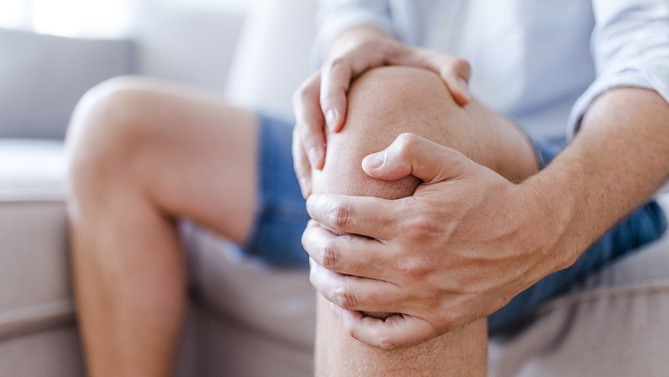 New Treatment Target Discovered That Halts Osteoarthritis-Like Knee Cartilage Degeneration