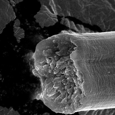 Microbially Produced Fibers: Stronger Than Steel, Tougher Than Kevlar