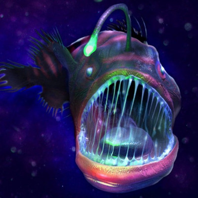 A Deep-sea Fish Inspired Researchers to Develop Supramolecular Light-driven Machinery