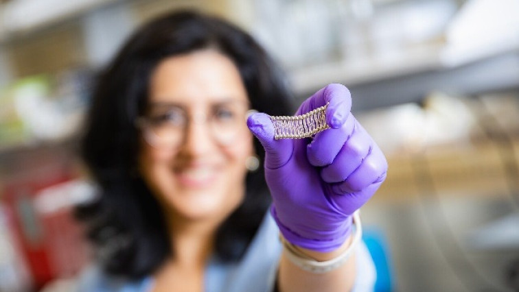 Physicists Decode Mysterious Membrane Behavior