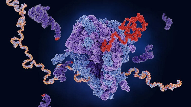 Shaping the Future of mRNA Based Drug Delivery