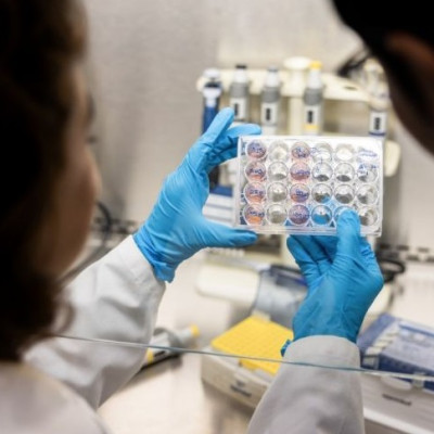 New Light-Based Nanotechnology Could Enable More Precise, Less Harmful Cancer Treatment