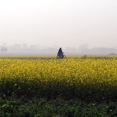 India is Drawing up Safety Guidelines for Using Nanoproducts in Agriculture