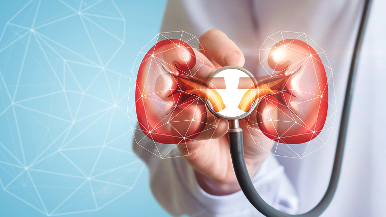 Chung-Ang University Develops Non-invasive Biosensor for Early Kidney Disease Detection