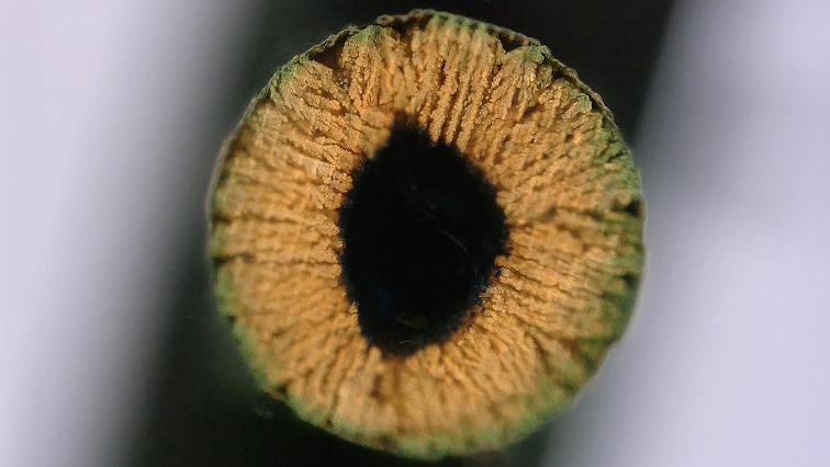 New 3D Printing Method 'Grows' Ultra-strong Materials