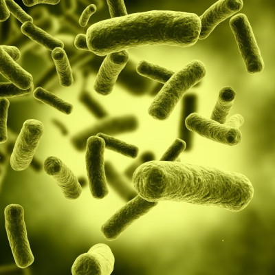 Novel Electrochemical Sensor Detects Dangerous Bacteria