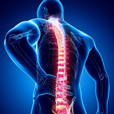 Spinal Injuries: The Recovery of Motor Skills Thanks To Nanomaterials ...