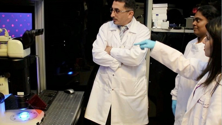 Researchers Develop Novel 3D Atomic Force Microscopy Probes
