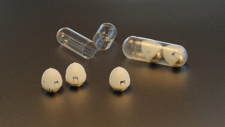 FDA Lets Toralgen's Insulin-delivering Nanopill into Tech Scheme
