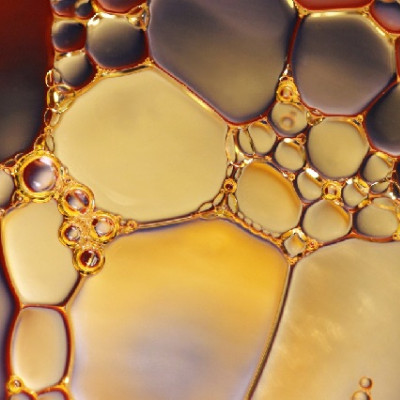 Rowan University Researchers Develop Injectable Biomaterial to Aid Spinal Cord Repair