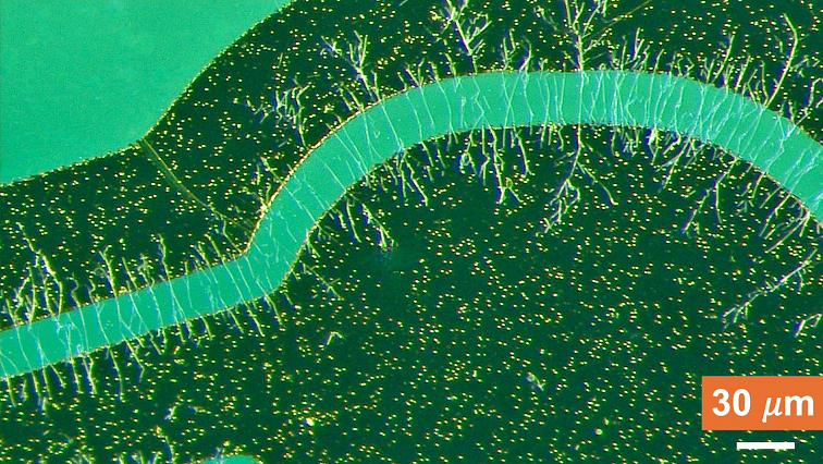 Nanowire Technology Breakthrough Could Unlock New Material Manufacturing