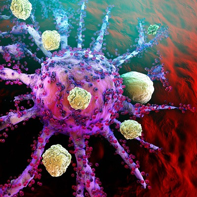 Brain’s Immune Cells Promising Cellular Target for Therapeutics