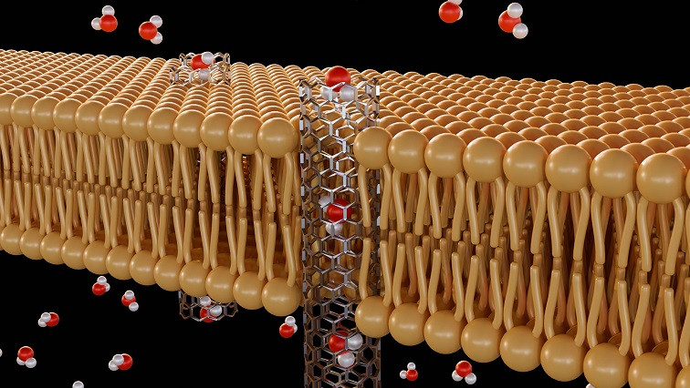 Novel Coupled Nanopore Platform Offers Greater Precision for Detecting Molecules