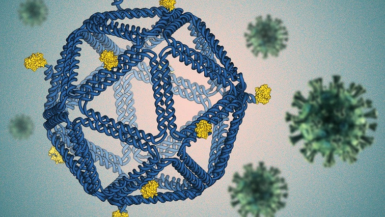 What Is “DNA origami” and How Does It Help Develop Vaccines?