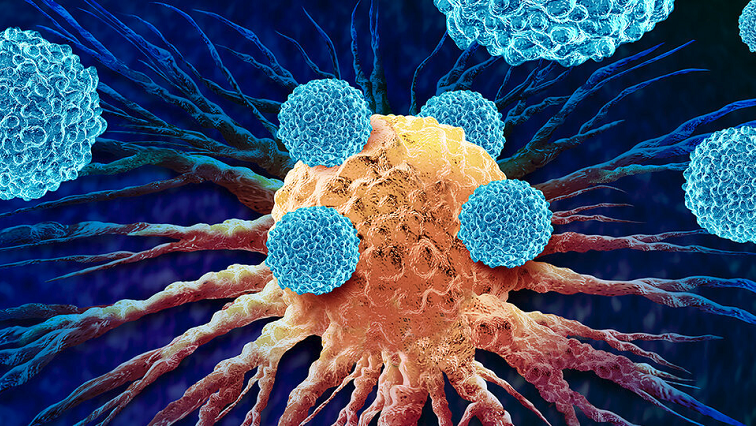 New Nanomedicine Platform “TITUR” Shows Promise for Advancing Personalized mRNA Cancer Therapeutics