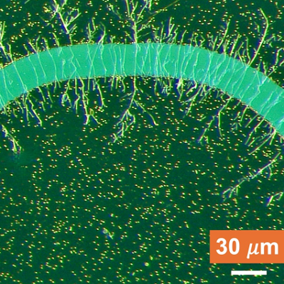 Nanowire Technology Breakthrough Could Unlock New Material Manufacturing