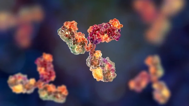 Nanobodies Efficiently Neutralize SARS-CoV-2 in Cells