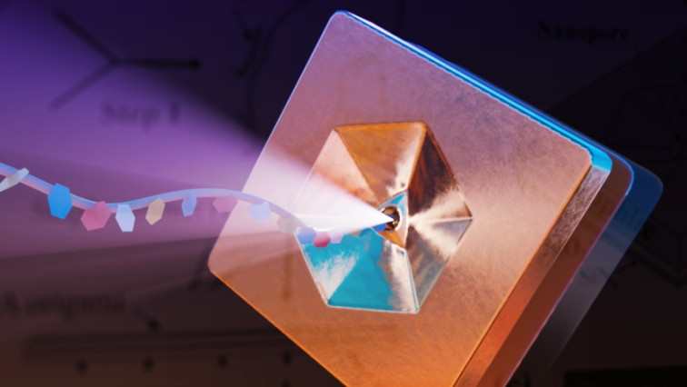 DNA Provides A Solution to Our Enormous Data Storage Problem