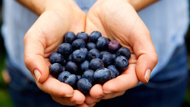 Coffee Scraps Help Blueberries Stay Fresher, Longer