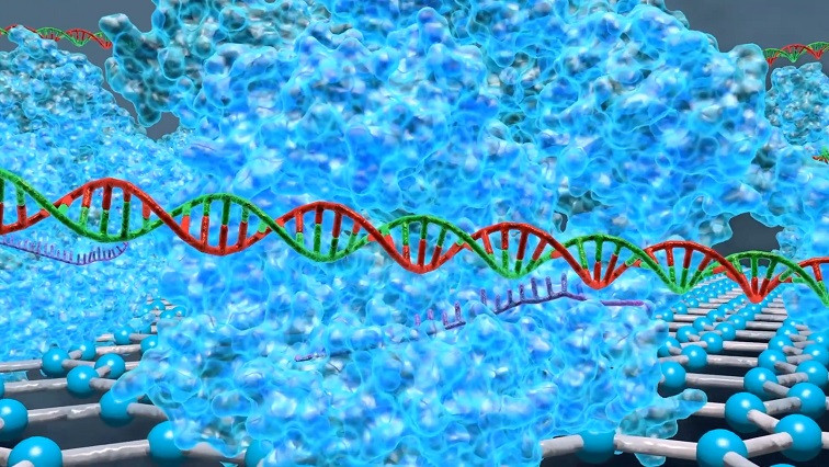 DNA Search Engine Just Moved from Science Fiction to Reality