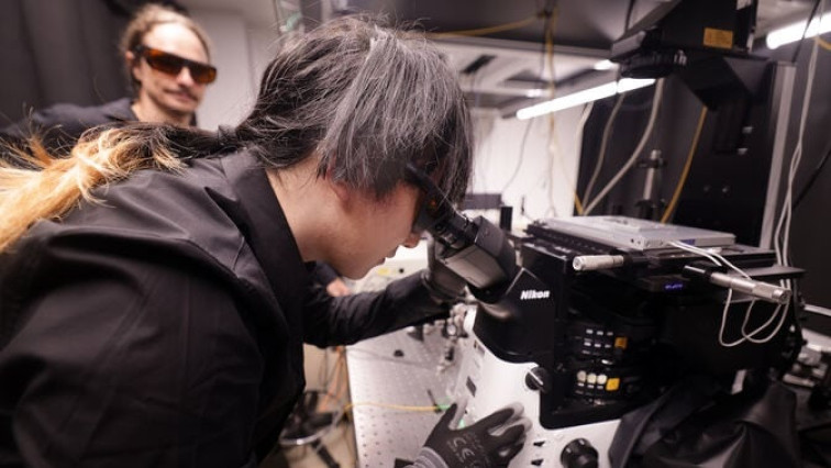 Nano-switch Achieves First Directed, Gated Flow of Excitons