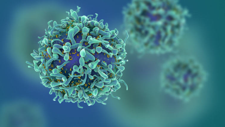 New Nano Particles Suppress Resistance to Cancer Immunotherapy