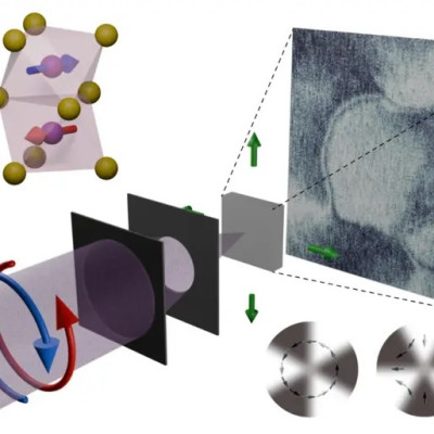 Nanoscale X-ray Imaging Unveils Bulk Altermagnetism in MnTe