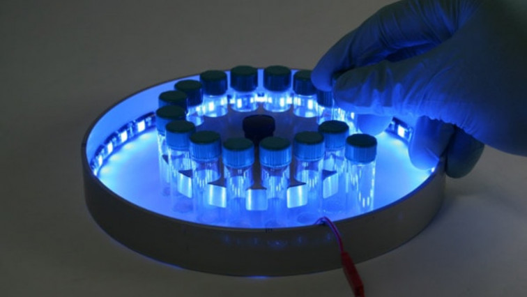 This Light-powered Catalyst Mimics Photosynthesis