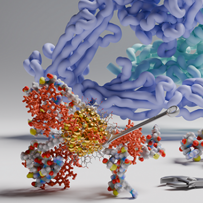 Machine Learning and Supercomputer Simulations Help Researchers to Predict Interactions Between Gold Nanoparticles and Blood Proteins