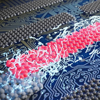 Carbon-based Quantum Technology