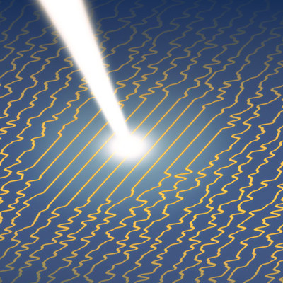 Superconductivity and Charge Density Waves Caught Intertwining at the Nanoscale