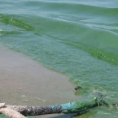 Pilot Project Uses Nanobubble Technology to Battle Algae Blooms in Manitoba Lake