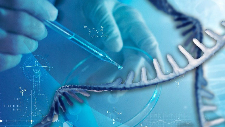 Scientists Develop a Smarter mRNA Therapy That Knows Which Cells to Target