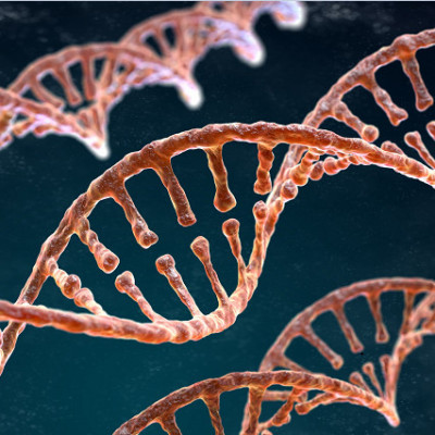 The Emergence of Form: Study Expands Horizons for DNA Nanotechnology