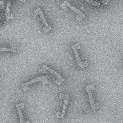 Tiny Device Illuminates the Big Impact Force Has on the Body