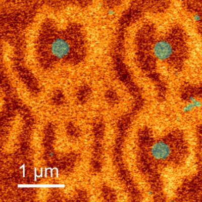 Ultrafast Plasmon-enhanced Magnetic Bit Switching at the Nanoscale