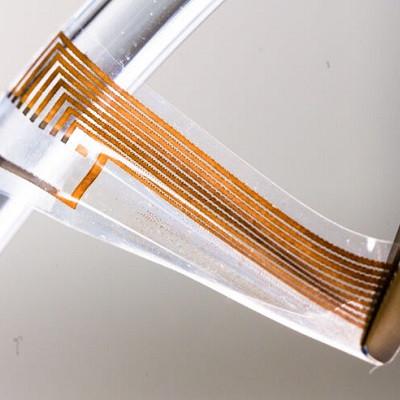 Soft Gold Enables Connections Between Nerves and Electronics