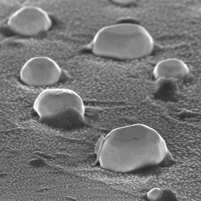 Metallic Nanocatalysts: What Really Happens During Catalysis