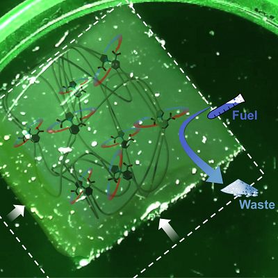 Scientists Create Tiny Motors That Mimic Nature