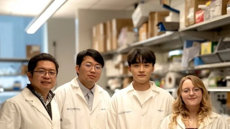 Genetic System Makes Worker Cells more Resilient Producers of Nanostructures for Advanced Sensing, Therapeutics