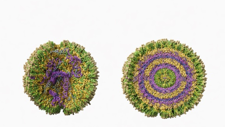 Scientists Rethink How to Pack Medicine into Tiny Delivery Capsules