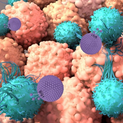 UT Designed Nanoparticles Train Immune Cells to Fight Cancer