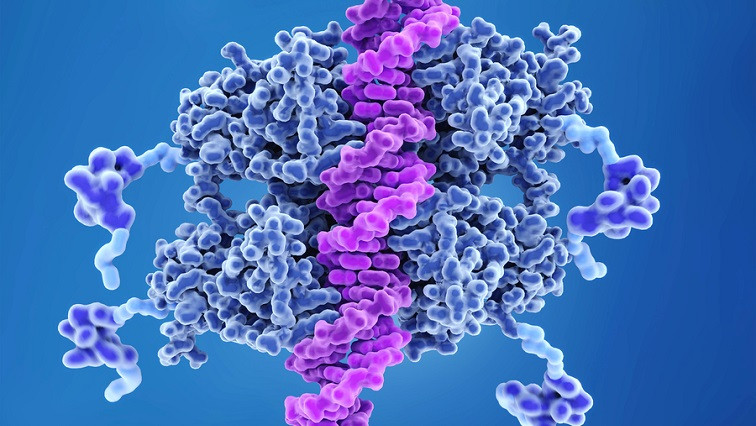 Gene-editing Technique Could Speed Up Study of Cancer Mutations