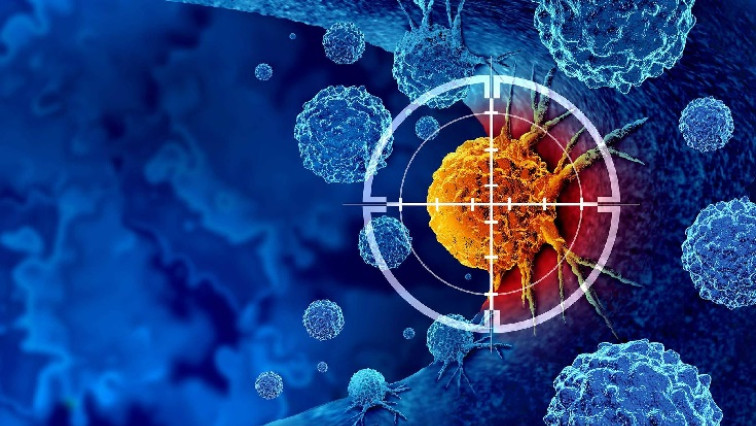 Resolving the Structural Basis of Therapeutic Antibody Function in Cancer Immunotherapy