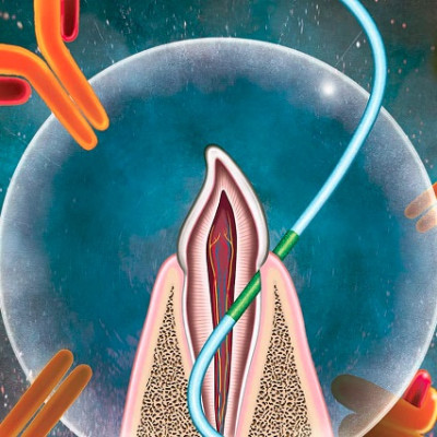 Why You May Get Future Vaccines via Dental Floss